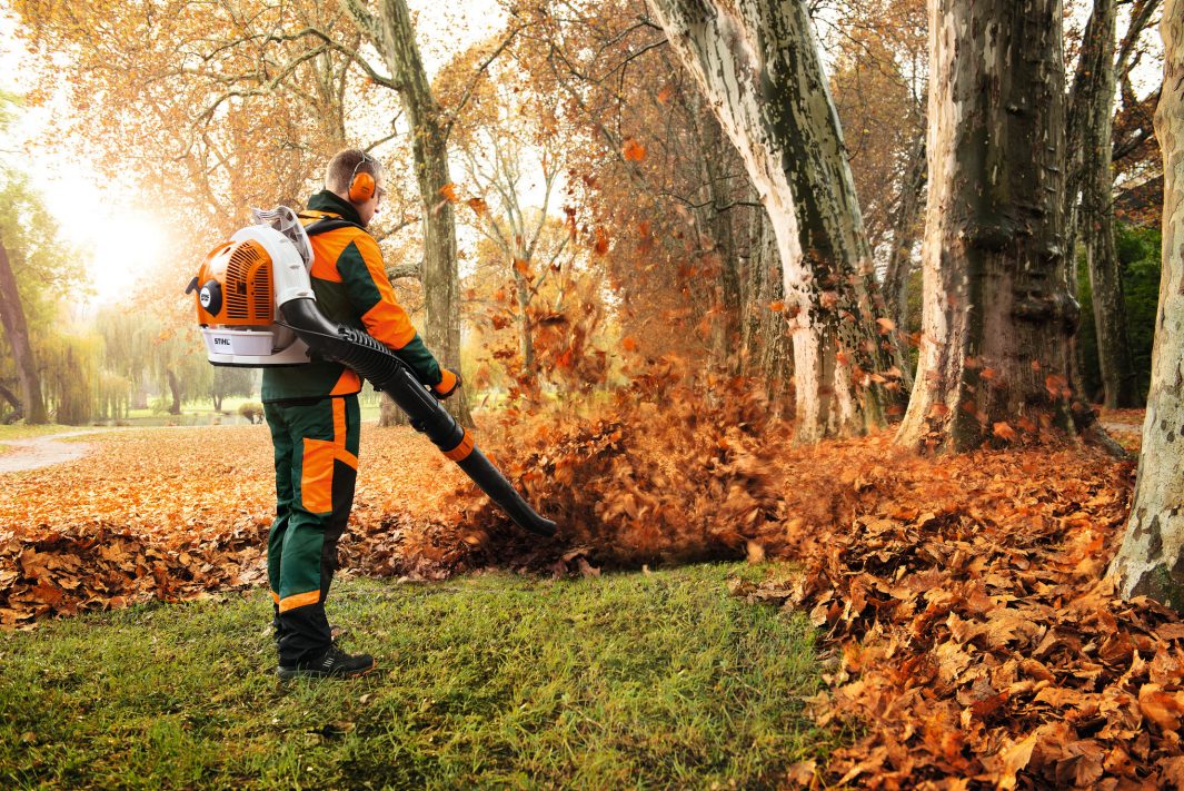 STIHL BR 700 – Image 3
